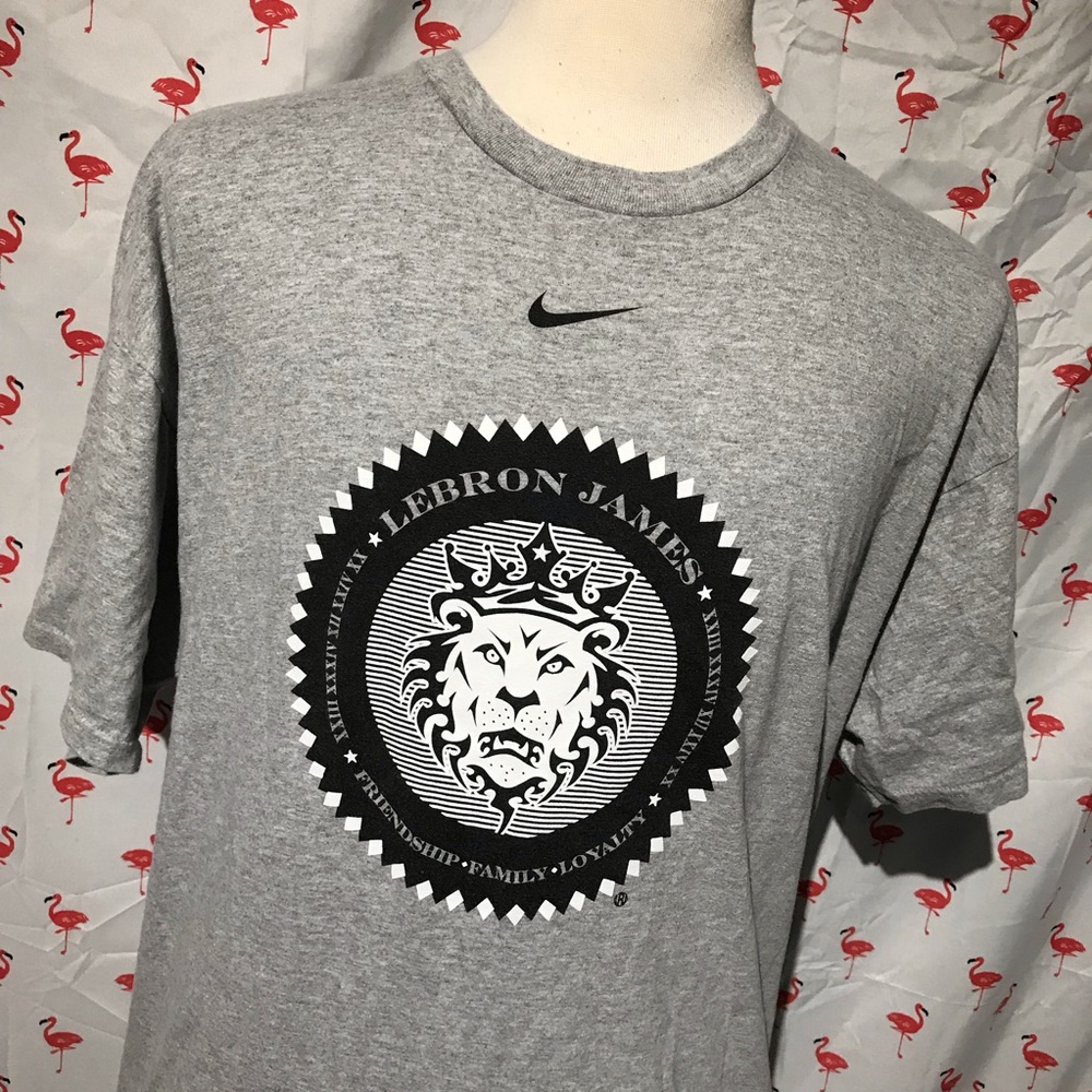 Nike LeBron James World Tour Mens XL T-shirt A5680